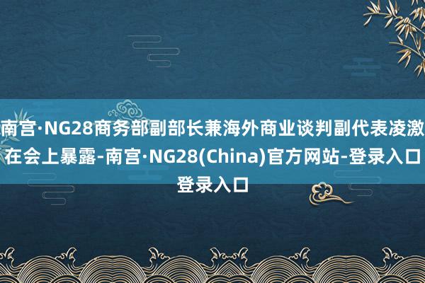 南宫·NG28商务部副部长兼海外商业谈判副代表凌激在会上暴露-南宫·NG28(China)官方网站-登录入口