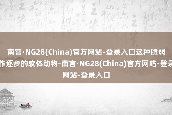 南宫·NG28(China)官方网站-登录入口这种脆弱且当作逐步的软体动物-南宫·NG28(China)官方网站-登录入口
