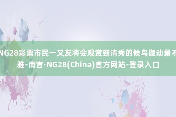 NG28彩票市民一又友将会观赏到清秀的候鸟搬动景不雅-南宫·NG28(China)官方网站-登录入口
